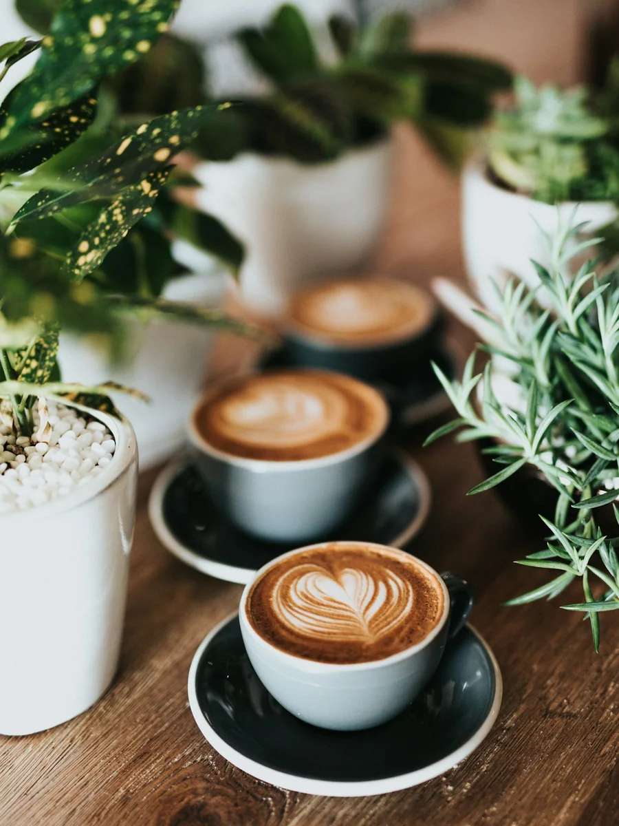 Does Coffee Dehydrate You? Separating Fact from Myth