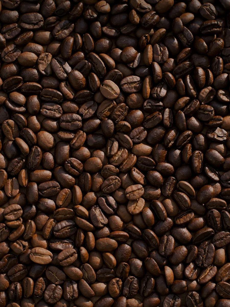 Coffee for Beginners: A Simple Guide to Your First Great Cup