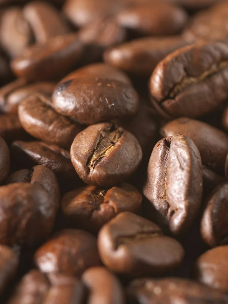 Coffee Grinder 101: Why Grind Size Matters
